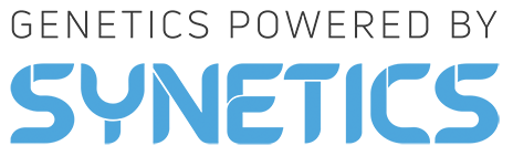 SYNETICS